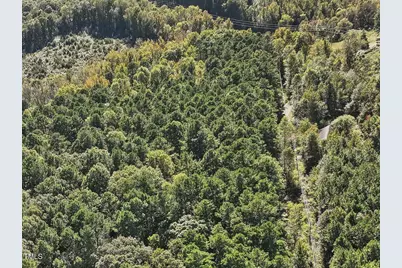 281 Karen Calhoun Road, Pittsboro, NC 27312 - Photo 4