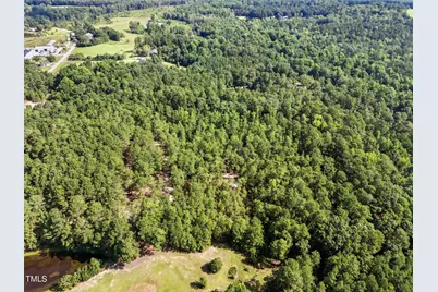 Tract 2 Benson Hardee Road, Benson, NC 27504 - Photo 4