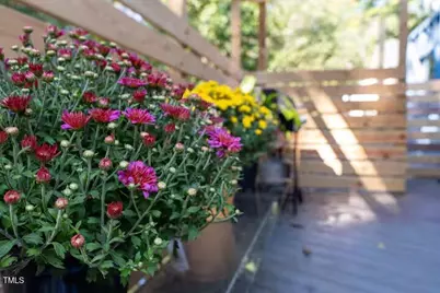 401 Church Street, Warrenton, NC 27589 - Photo 32