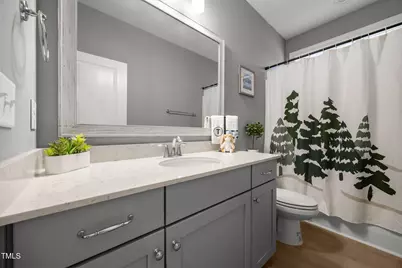 244 Thunder Forest Lane, Wendell, NC 27591 - Photo 20