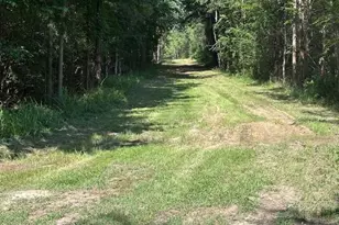 4115 Busbee Rd, Seagrove, NC 27341 - Photo 30