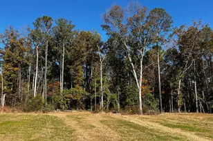 619 Little River Dr, Zebulon, NC 27597 - Photo 18