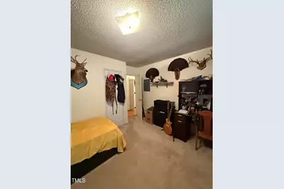 212 Long Needle Drive, Clayton, NC 27520 - Photo 16