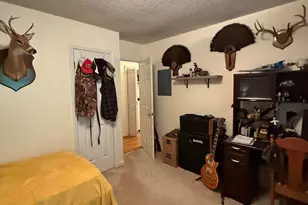 212 Long Needle Dr, Clayton, NC 27520 - Photo 16