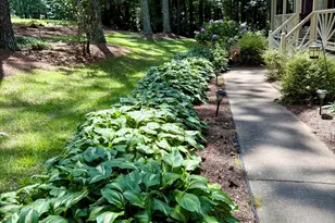 212 Long Needle Dr, Clayton, NC 27520 - Photo 30