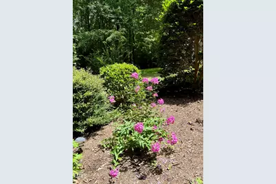 212 Long Needle Drive, Clayton, NC 27520 - Photo 26