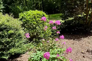 212 Long Needle Dr, Clayton, NC 27520 - Photo 26