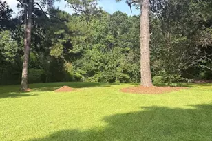 10329 Fanny Brown Rd, Raleigh, NC 27603 - Photo 4