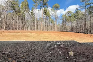 6820 Brixley Cir, Raleigh, NC 27614 - Photo 40