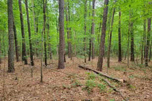 3217 Rowena Ave, Durham, NC 27703 - Photo 6