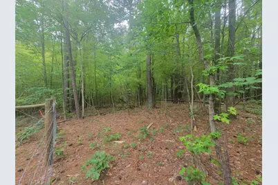 3217 Rowena Avenue, Durham, NC 27703 - Photo 8