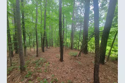 3217 Rowena Avenue, Durham, NC 27703 - Photo 10