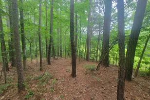 3217 Rowena Ave, Durham, NC 27703 - Photo 10