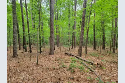 3217 Rowena Avenue, Durham, NC 27703 - Photo 6