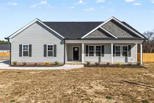 268 Fields Road NW, Pikeville, NC 27863 - Photo 4