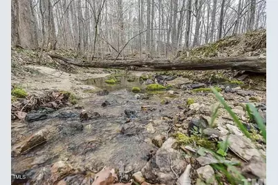 8737 Allison Road, Cedar Grove, NC 27231 - Photo 78