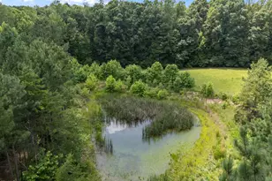 8737 Allison Rd, Cedar Grove, NC 27231 - Photo 72