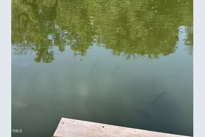 8737 Allison Road, Cedar Grove, NC 27231 - Photo 74