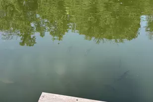 8737 Allison Rd, Cedar Grove, NC 27231 - Photo 74