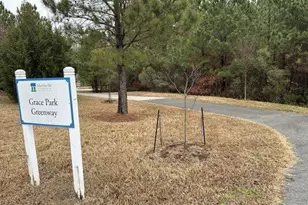 1329 Alemany St, Morrisville, NC 27560 - Photo 26