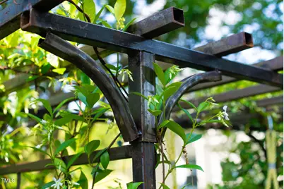 125 Lord Ashley Road, Raleigh, NC 27610 - Photo 66