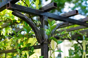 125 Lord Ashley Rd, Raleigh, NC 27610 - Photo 66