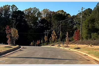 949 Alma Railway Drive, Wake Forest, NC 27587 - Photo 32