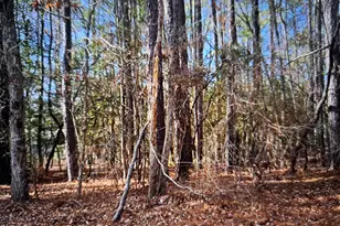 373 Thimbleberry Dr, Vass, NC 28394 - Photo 1