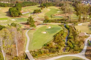 125 Blue Hydrangea Ln, Holly Springs, NC 27540 - Photo 88