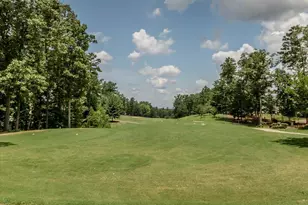 125 Blue Hydrangea Ln, Holly Springs, NC 27540 - Photo 84