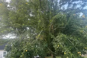 2315 Lansdale Rd, Hillsborough, NC 27278 - Photo 38