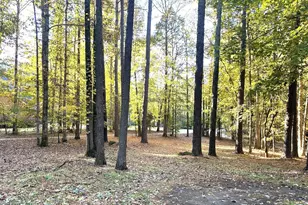 4421 Black Lion Way, Raleigh, NC 27610 - Photo 4