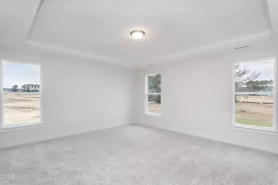 193 Kissington Way, Benson, NC 27504 - Photo 24