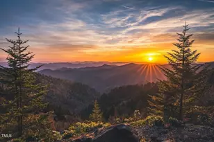 79 Northwood Dr, Fuquay Varina, NC 27526 - Photo 38