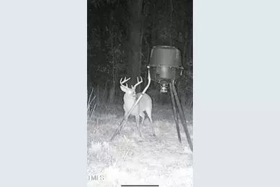 8295 Antioch Church Road, Middlesex, NC 27557 - Photo 72