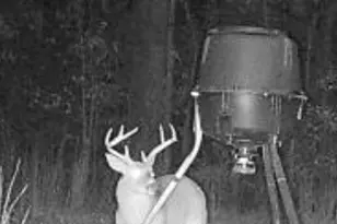 8295 Antioch Church Rd, Middlesex, NC 27557 - Photo 72