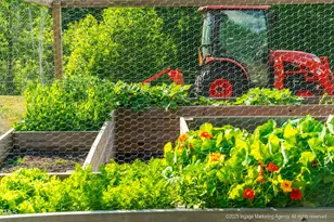 8295 Antioch Church Rd, Middlesex, NC 27557 - Photo 20