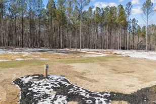 115 Cherry Bark Dr, Youngsville, NC 27596 - Photo 44