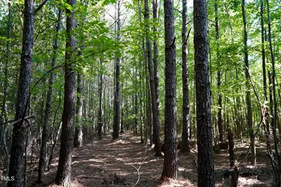 14 Acres Timberlake Road, Franklinton, NC 27525 - Photo 14