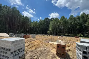 306 Slocum Dr, Wendell, NC 27591 - Photo 2