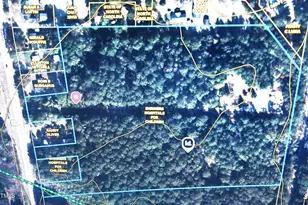 3635 S US 117 Alt Hwy, Brogden, NC 28333 - Photo 1