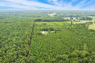 2150 NC-58, Castalia, NC 27816 - Photo 42