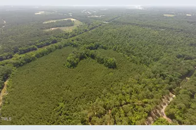 250 Pine Street, Moncure, NC 27559 - Photo 4