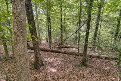 625 Totten Place, Chapel Hill, NC 27514 - Photo 14