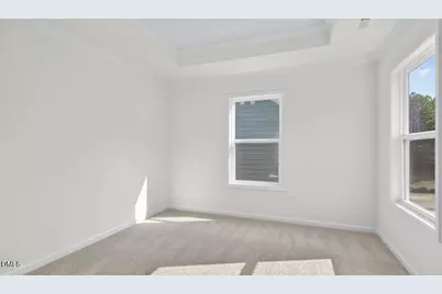 49 West Fire Opal Court, Clayton, NC 27520 - Photo 26