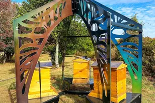 513 Hoke St, Raleigh, NC 27601 - Photo 24