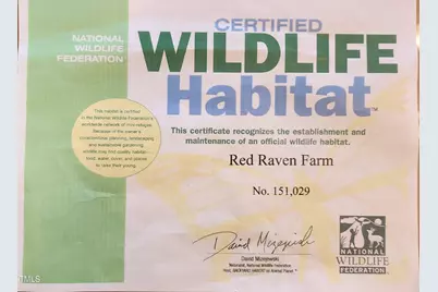 4811 New Sharon Church Road, Hillsborough, NC 27278 - Photo 82