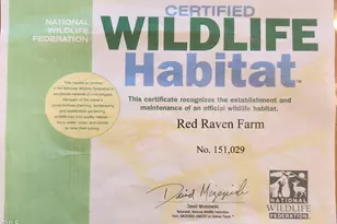 4811 New Sharon Church Rd, Hillsborough, NC 27278 - Photo 82