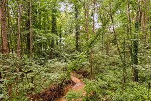 1901 Trailwood Heights Ln, Raleigh, NC 27603 - Photo 24