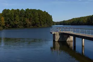 136 N White St, Wake Forest, NC 27587 - Photo 36